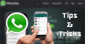 Software Target Phone